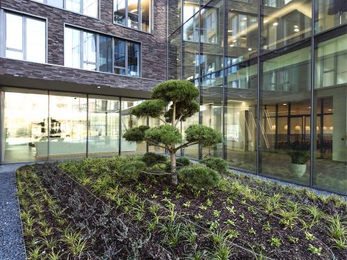 Courtyard with plant bed and small tree